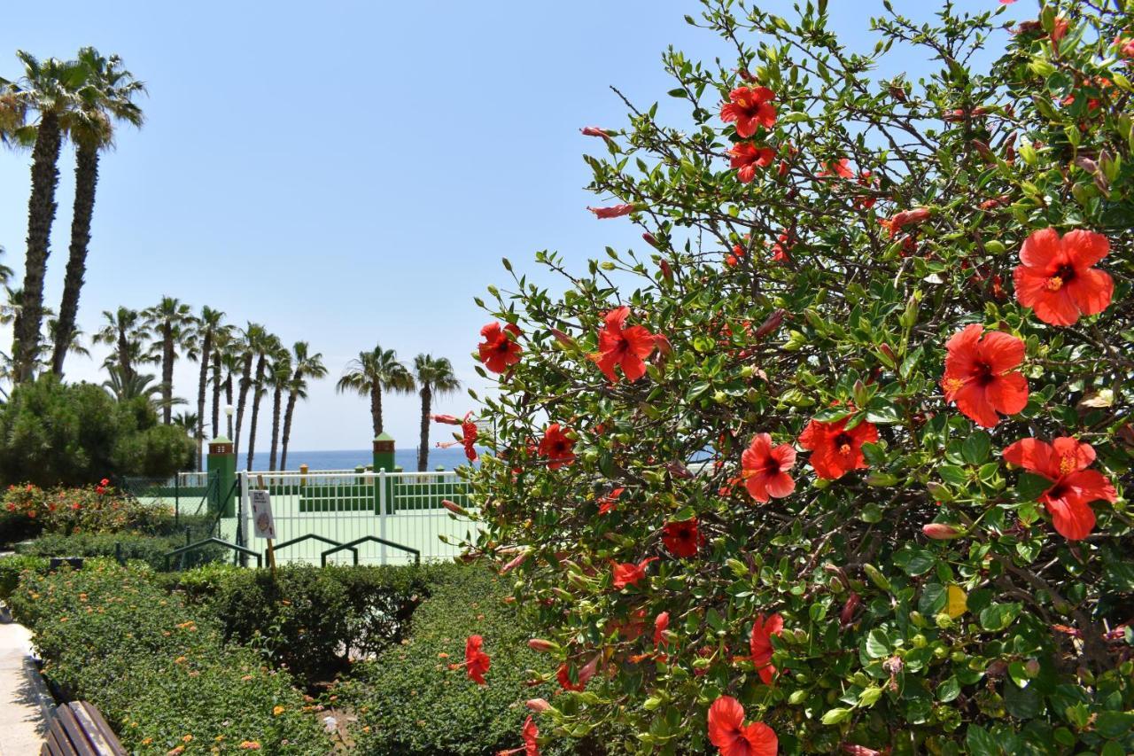Fantastic Studio - Beachfront Torrox Exterior foto